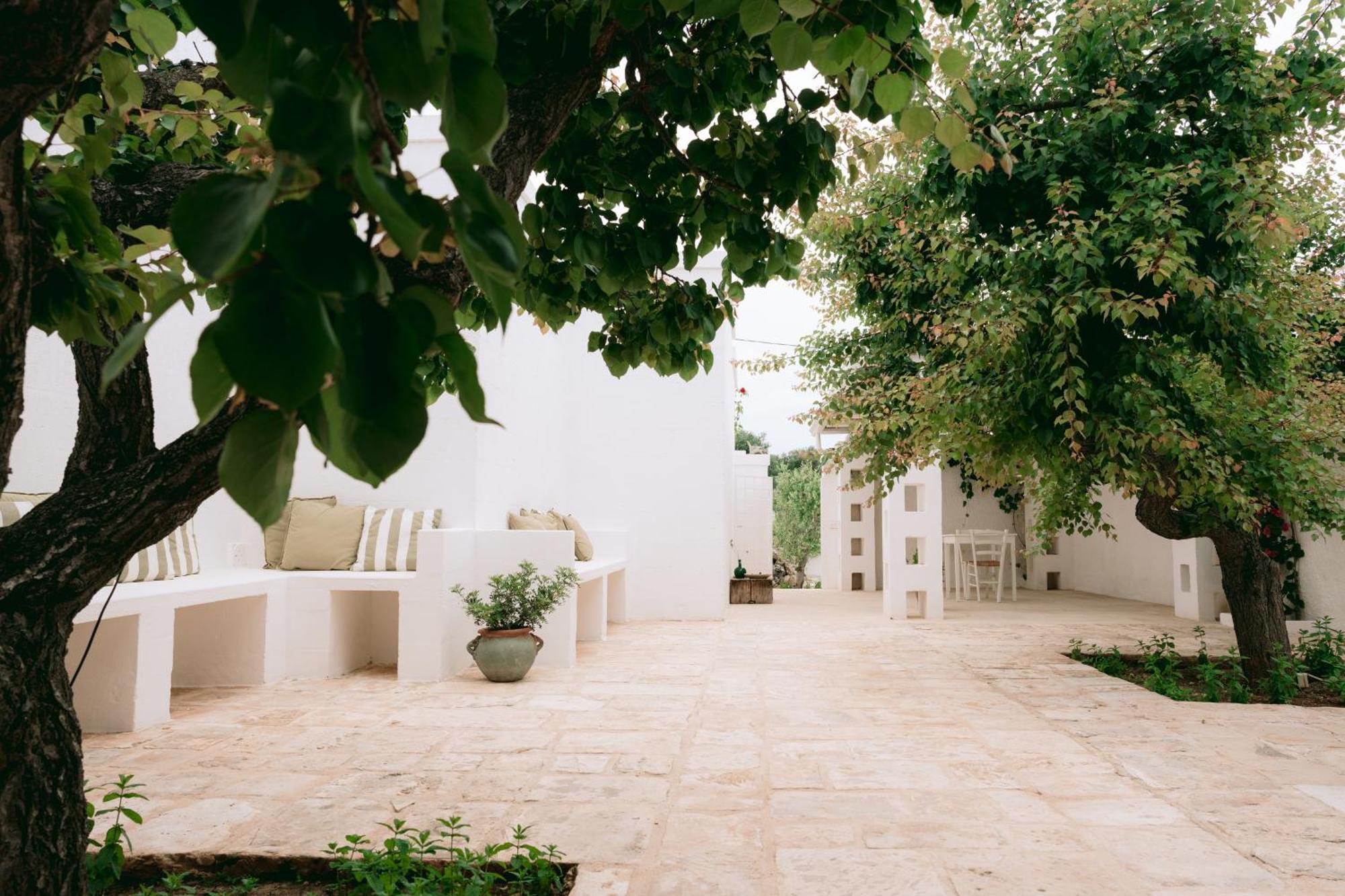 Oltre Gli Ulivi * Ostuni